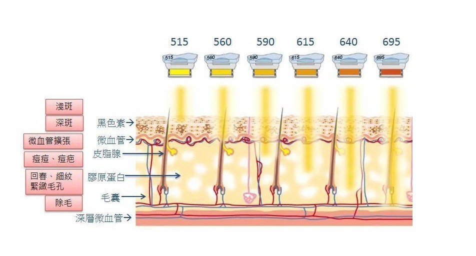 不同波段對皮膚的作用