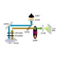 什么是熒光定量PCR、數(shù)字PCR？