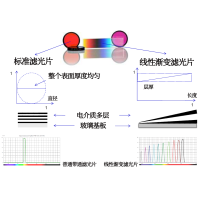 線性漸變?yōu)V光片是什么？有何特點(diǎn)？